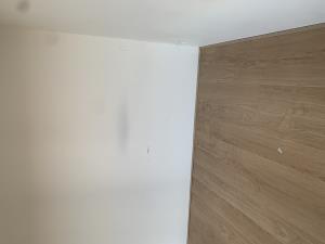 Room for rent 500 euro Meijhorst, Nijmegen