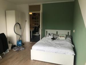 Kamer te huur 454 euro Cesar Franckstraat, Delft