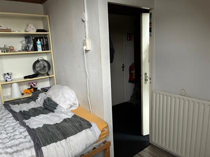 Room for rent 800 euro Schootsestraat, Eindhoven