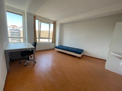 Room for rent 485 euro Stadsbrink, Wageningen