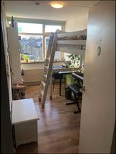 Room for rent 390 euro Zonnelaan, Groningen