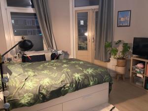 Kamer te huur 495 euro Rijswijkseweg, Den Haag