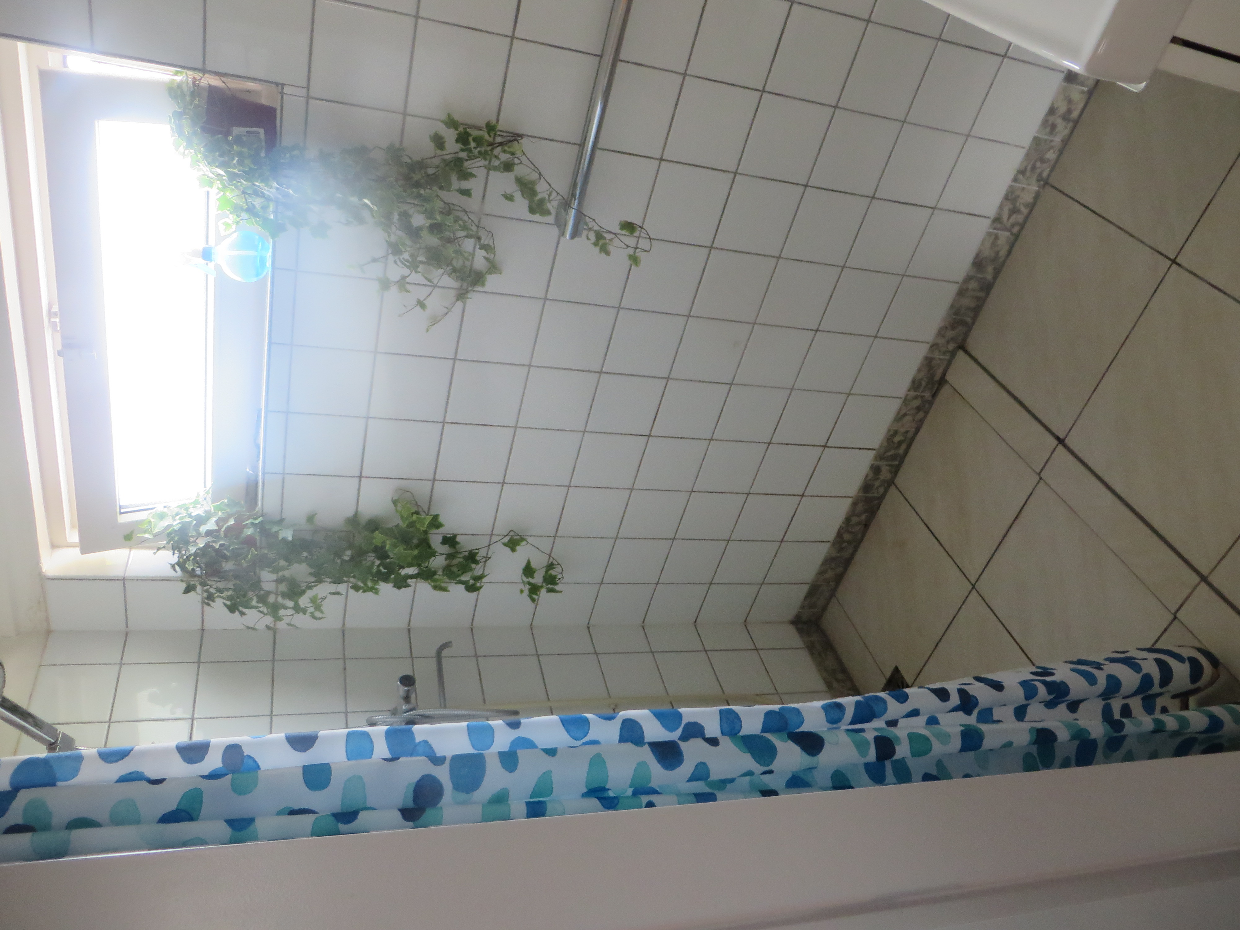 kamer te huur in Groningen