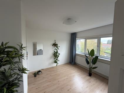 Kamer te huur 61 euro Schepenstraat, Rotterdam