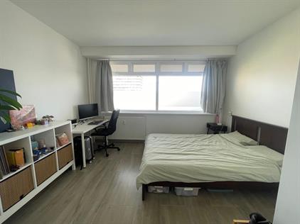 Room for rent 800 euro Hendrik Tollensstraat, Delft