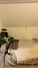 Kamer te huur 485 euro Dorpsstraat, Renkum