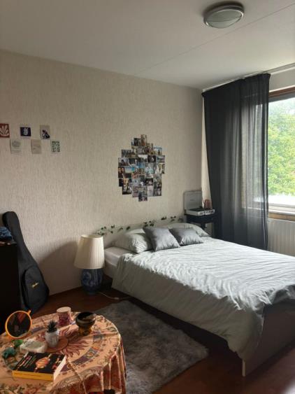 Room for rent 850 euro In de Papiermolen, Duivendrecht