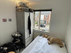 Room for rent 464 euro Europalaan, Enschede