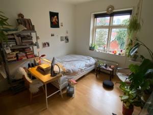 Room for rent 460 euro Korte Haaksbergerstraat, Enschede