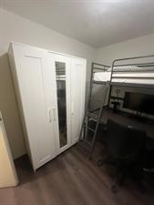 Room for rent 700 euro Meidoornstraat, Weert