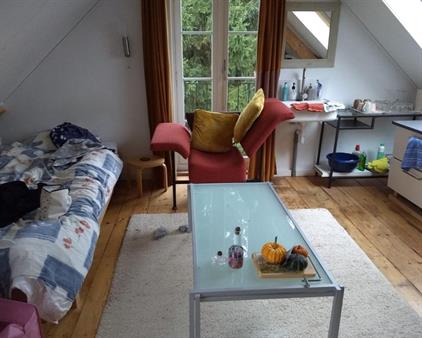 Kamer te huur 650 euro 't Haagje, Driebergen-Rijsenburg