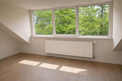 Zimmer zu vermieten 500 Euro Flakkeesestraat, Rotterdam
