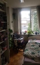 Room for rent 700 euro Van der Boechorststraat, Amsterdam