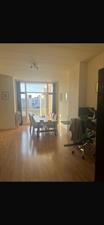 Room for rent 750 euro Sneeuwbalstraat, Den Haag