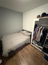 Room for rent 850 euro Oude Vest, Leiden