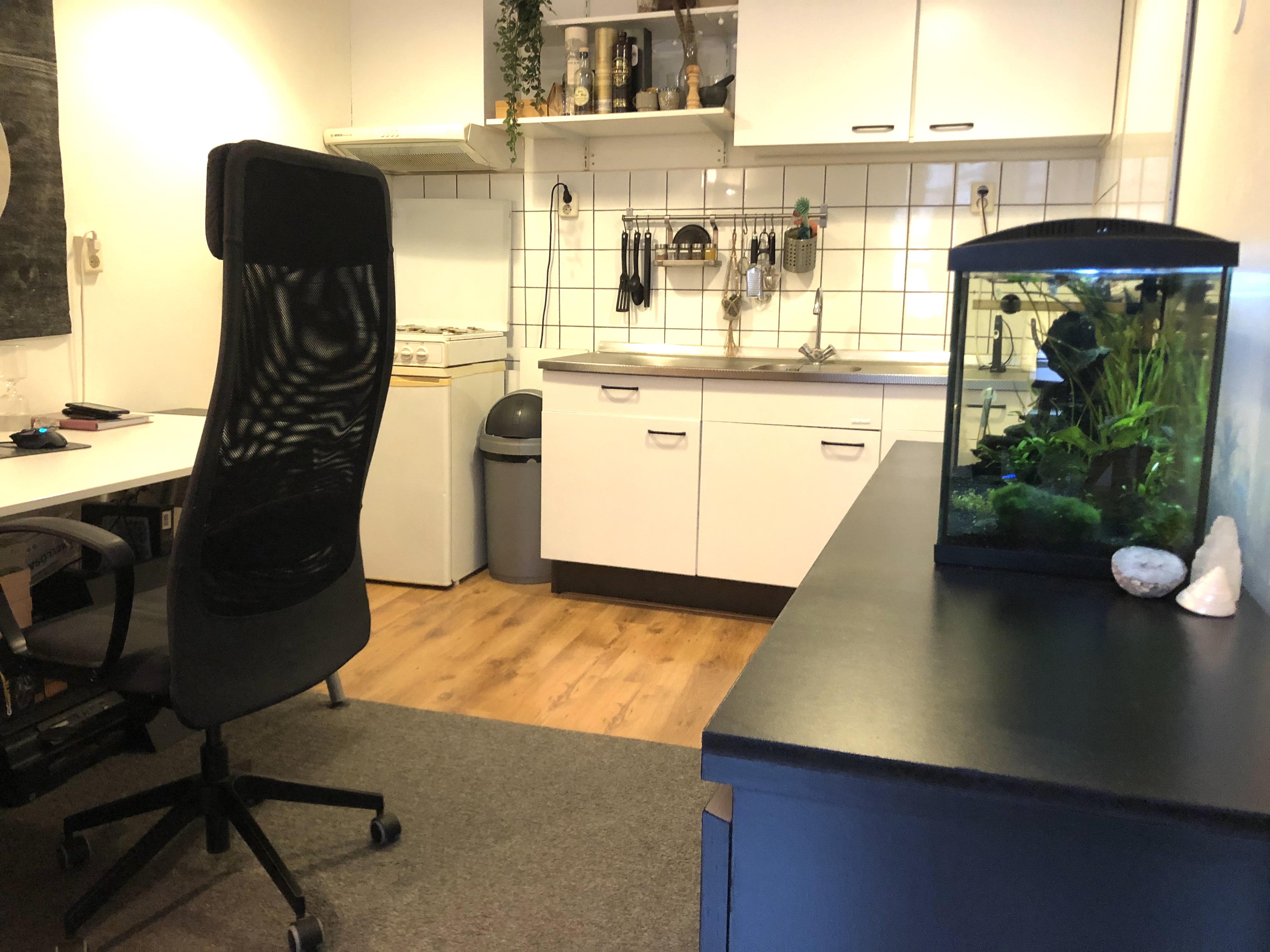 Kamer te huur in Groningen – Nieuwstraat – foto 3