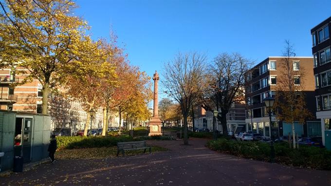 Zimmer bei Burgemeester Hoffmanplein In Rotterdam