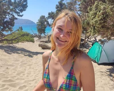 Arselajda