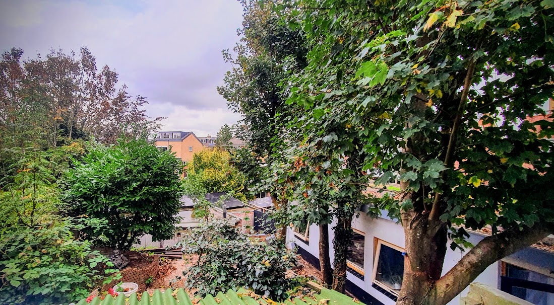 Daniel Noteboomstraat
