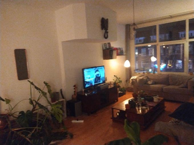 Zimmer bei Dierenselaan In Den Haag