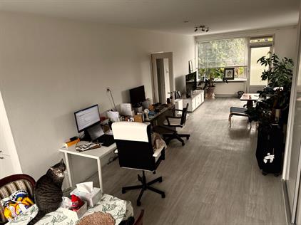 Apartment for rent 1380 euro Oude Loosdrechtseweg, Hilversum