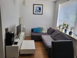 Appartement te huur 1200 euro Cobradreef, Utrecht