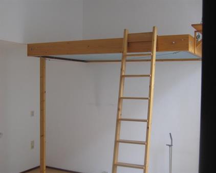 Room for rent 595 euro Lange Bogaardstraat, Haarlem