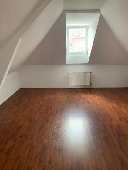 Appartement te huur 1025 euro Pretorialaan, Rotterdam