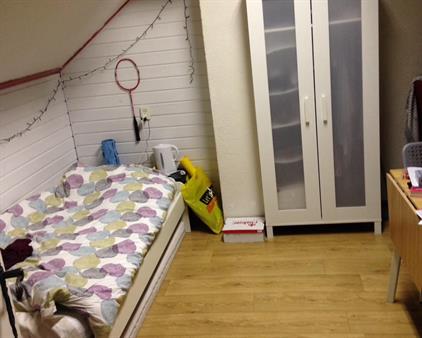 Room for rent 750 euro Mekongdreef, Utrecht