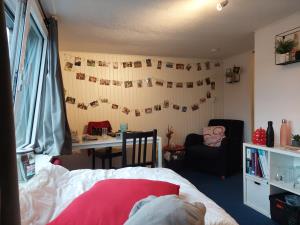 Room for rent 375 euro St. Jacobslaan, Nijmegen