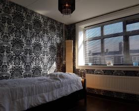 Room for rent 500 euro Zuidplein, Rotterdam