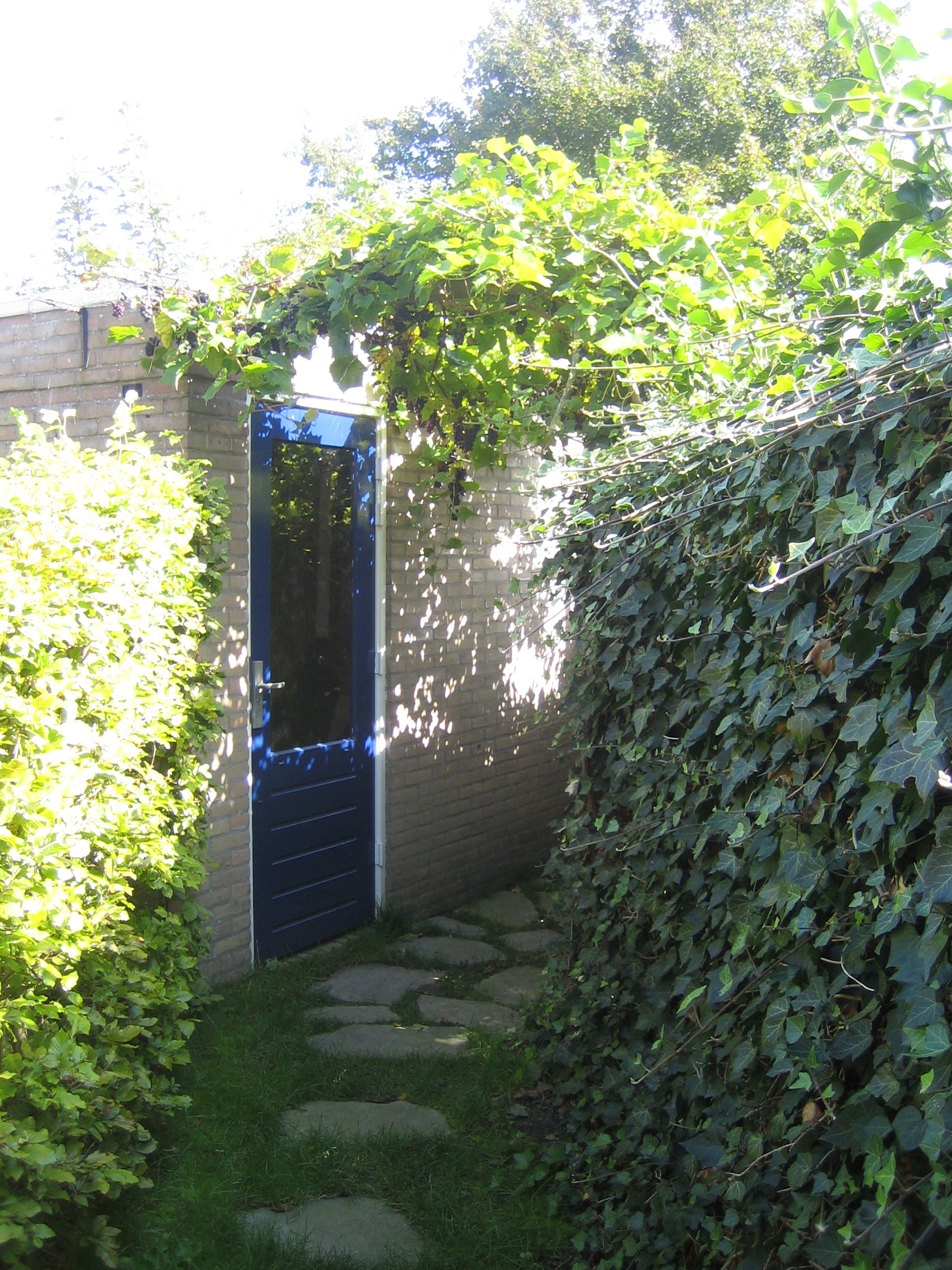 Kamer aan Mulderij, Alkmaar 10
