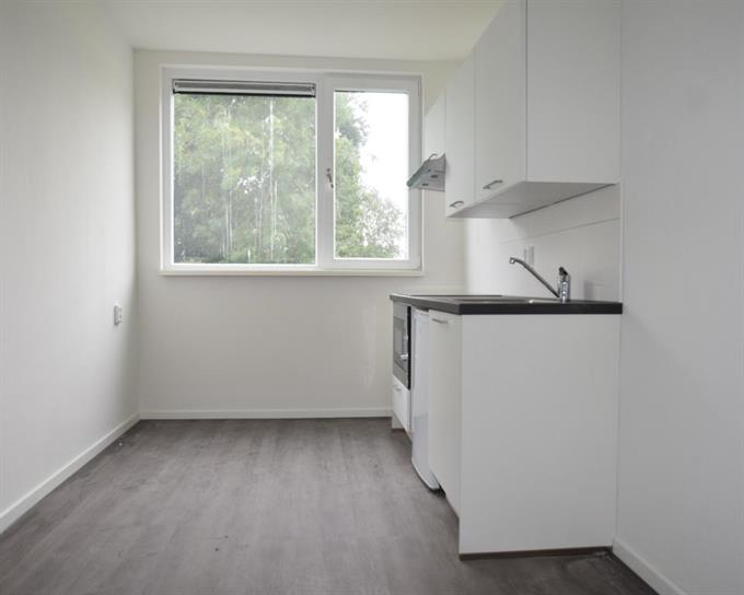 Zimmer bei de Gealanden In Leeuwarden