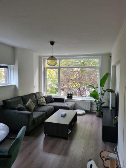 Room for rent 800 euro Rijnvoorde, Rotterdam