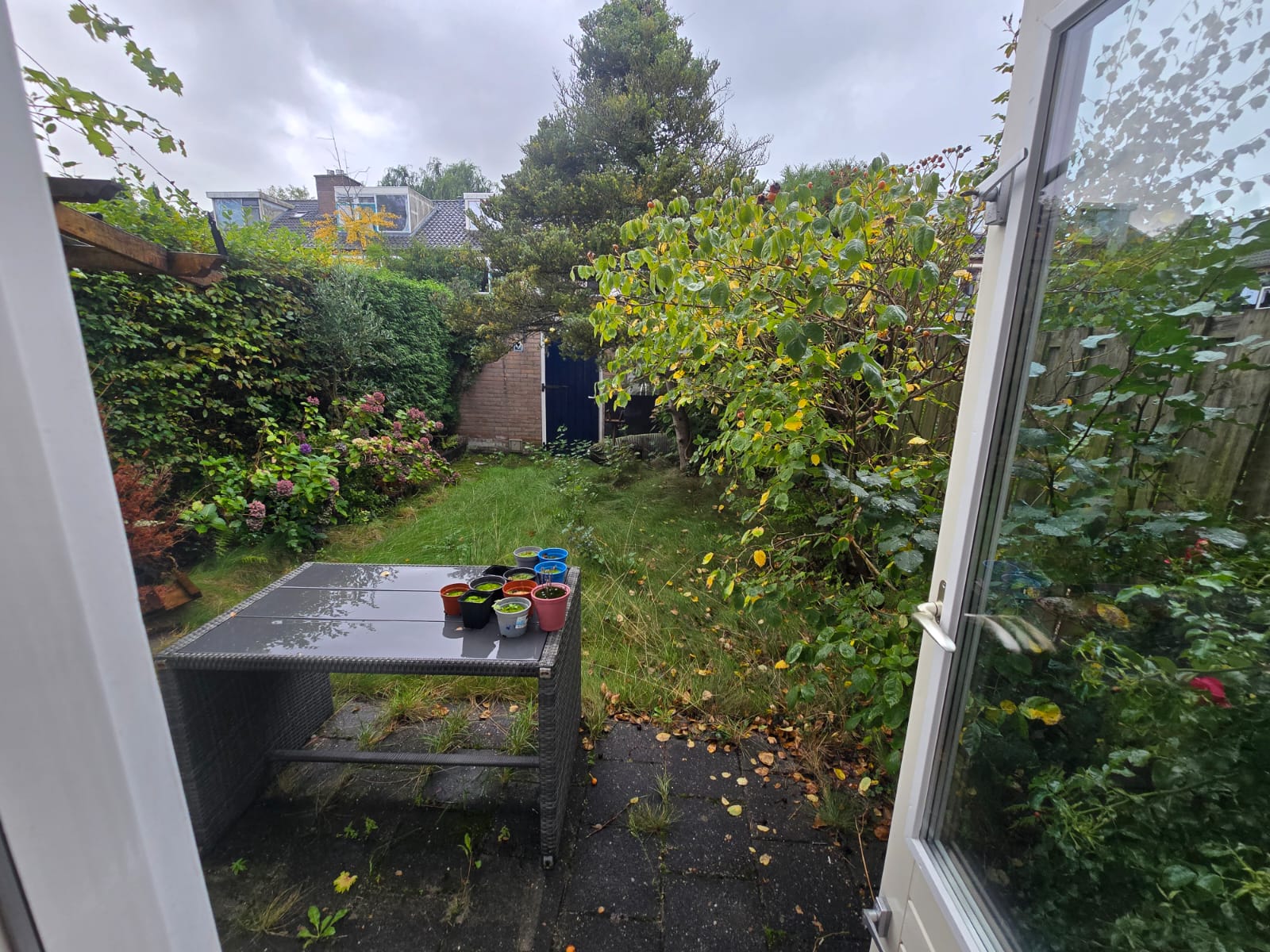 Appartement aan Ranonkelstraat, Groningen 5