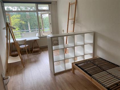 Room for rent 975 euro Standerdmolen, Amsterdam