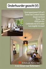 Room for rent 935 euro Schiekade, Rotterdam