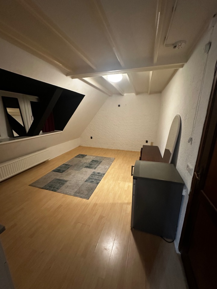vrije-sector-woningen te huur op Orthen