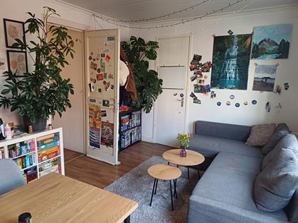 Room for rent 585 euro Riouwstraat, Groningen