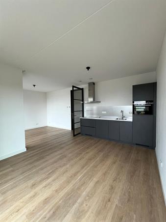 Wohnung bei Rosestraat In Rotterdam