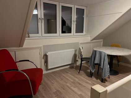 Kamer te huur 695 euro Burgemeester Rauppstraat, Tilburg