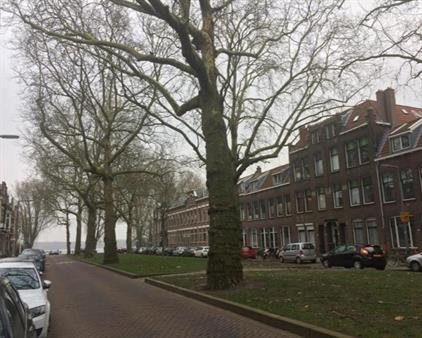 Kamer te huur 550 euro Jericholaan, Rotterdam