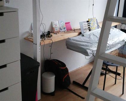 Room for rent 424 euro Foulkeslaan, Delft