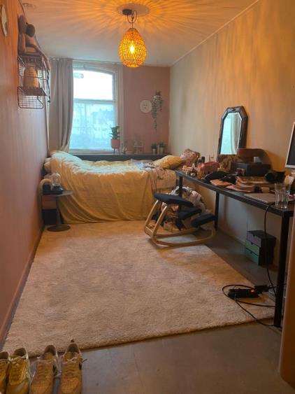 Room for rent 500 euro Hooikade, Delft