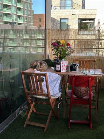 Zimmer bei Elzenhagensingel In Amsterdam