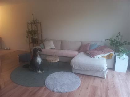 Apartment for rent 2300 euro Varenstraat, Soest