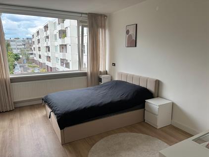 Zimmer zu vermieten 975 Euro Telderslaan, Utrecht