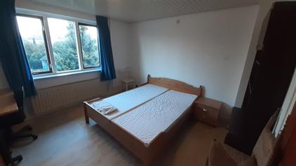 Room for rent 300 euro Wilhelminastraat, Vlijmen