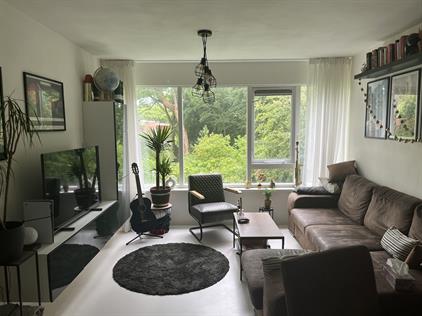 Room for rent 750 euro Boeg, Groningen