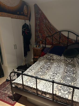 Kamer in Amsterdam, Albert Cuypstraat op Kamernet.nl: Tijdelijke vrouwelijke huisgenoot gezocht 